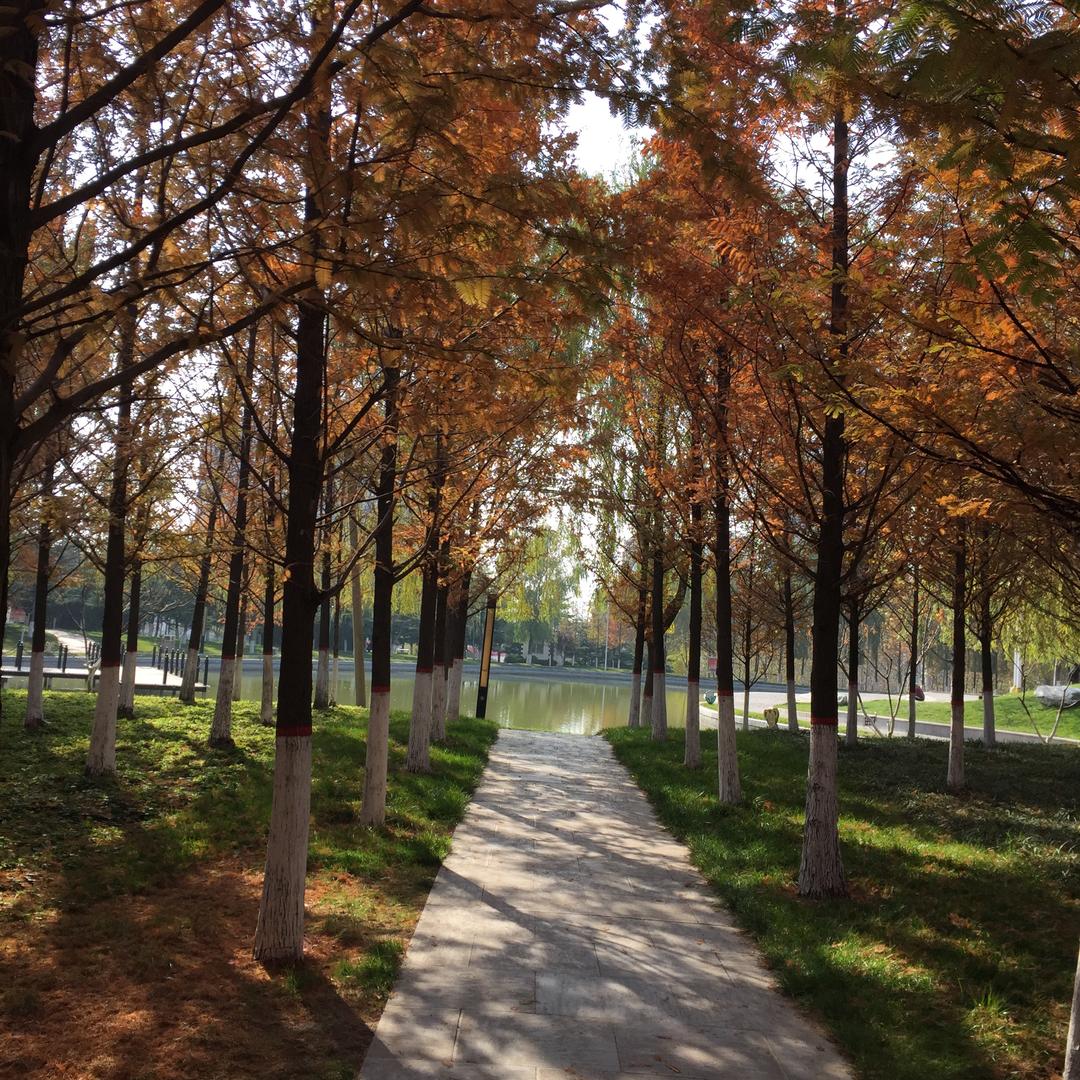 এ᭄阳皓之家⸙