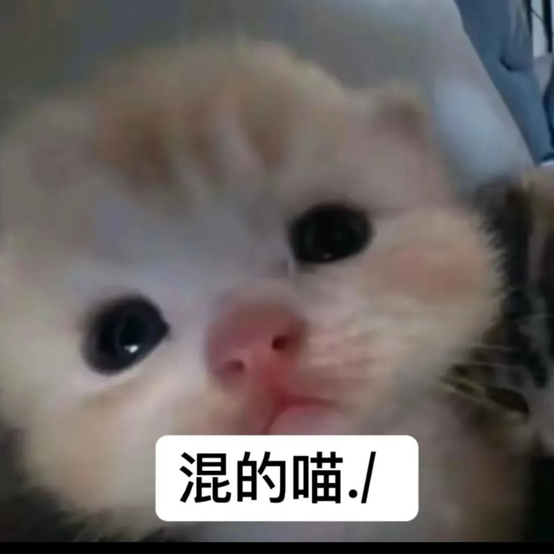 煊煊ovo
