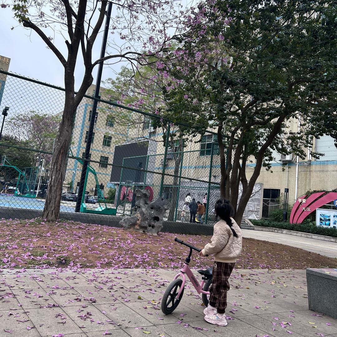 笔尖上的热度、👣