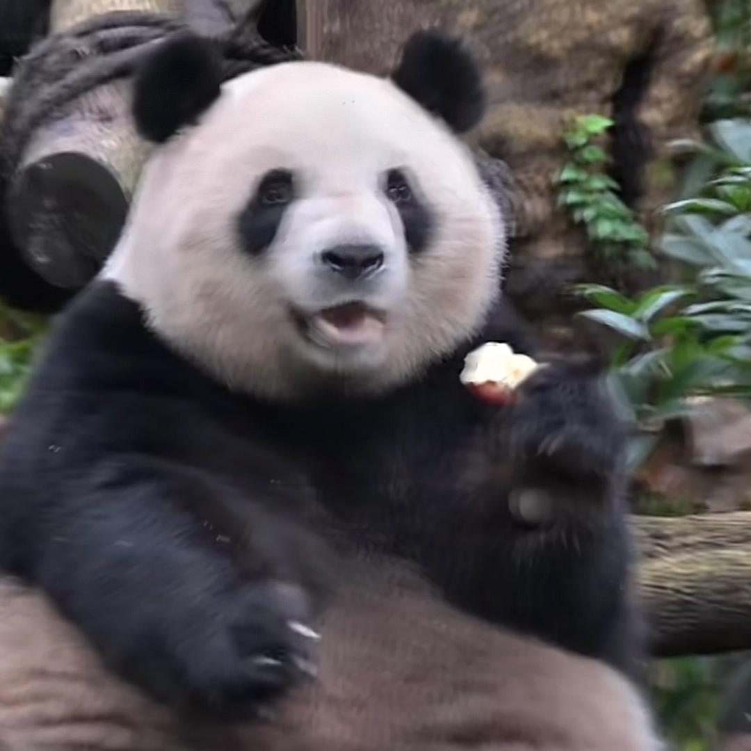 可爱螺丝钉
