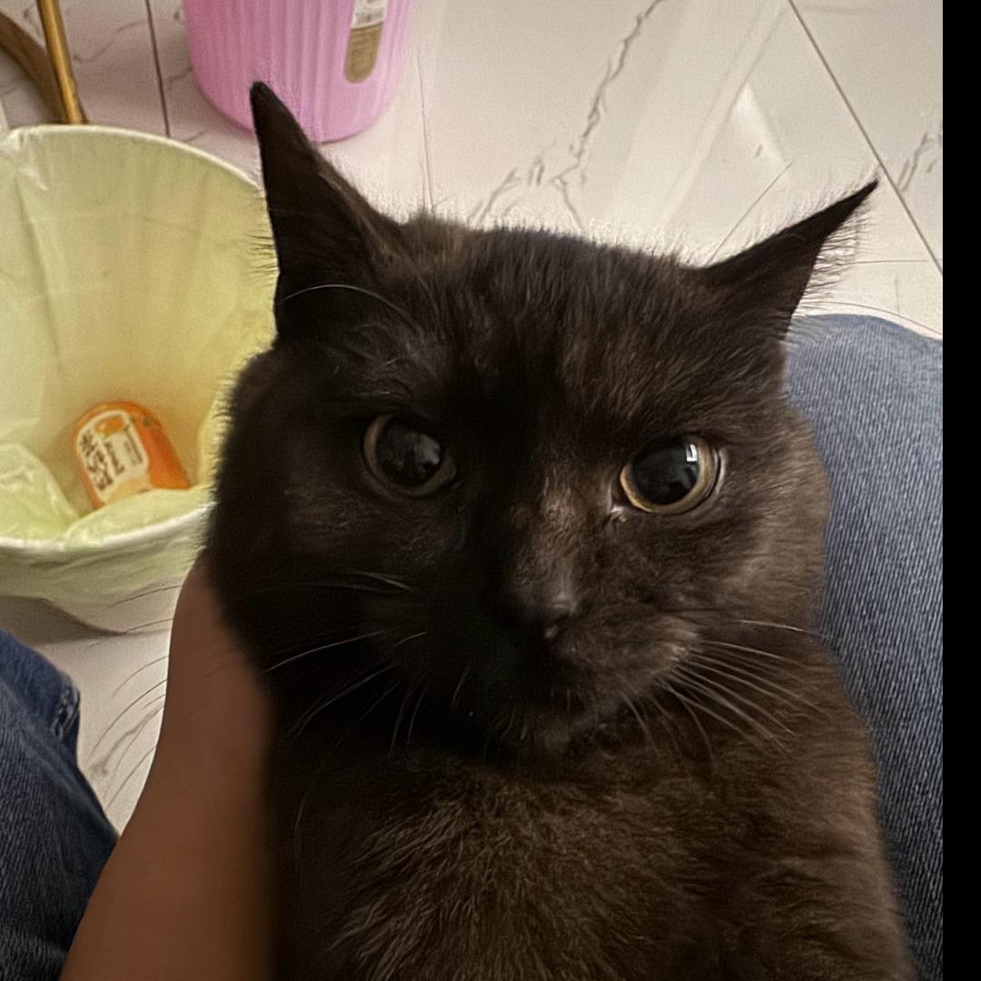 但行好事莫问前程