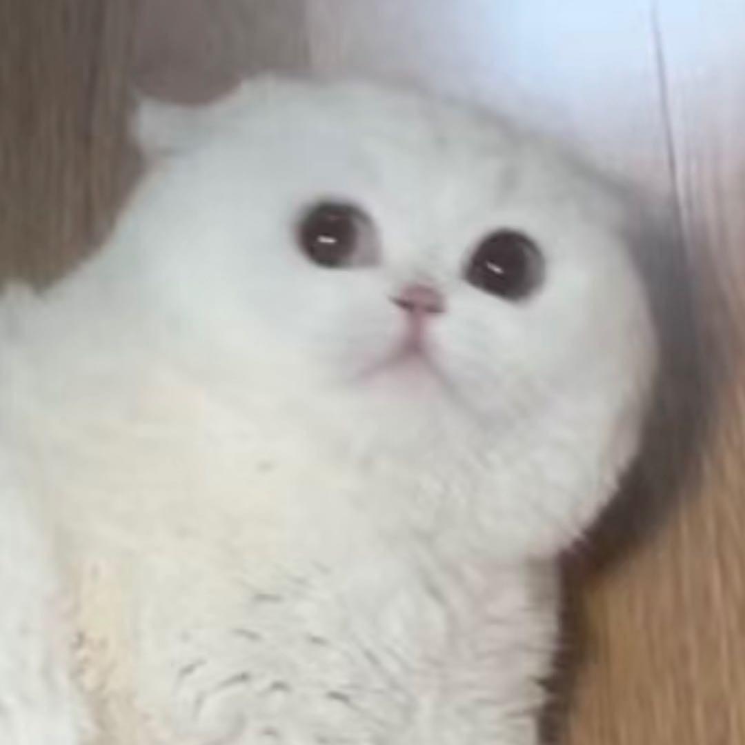 •柠檬有维C•