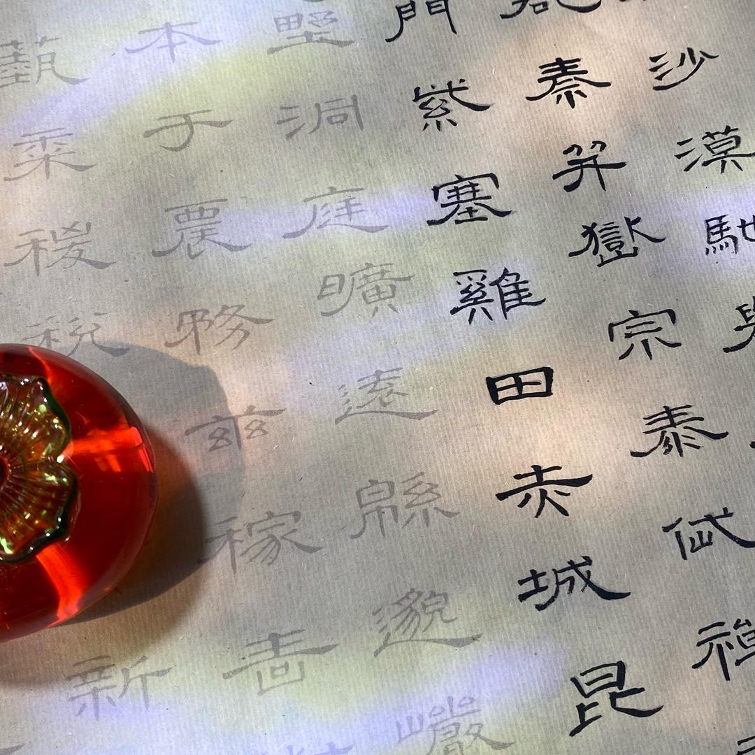 元宝儿的宝藏