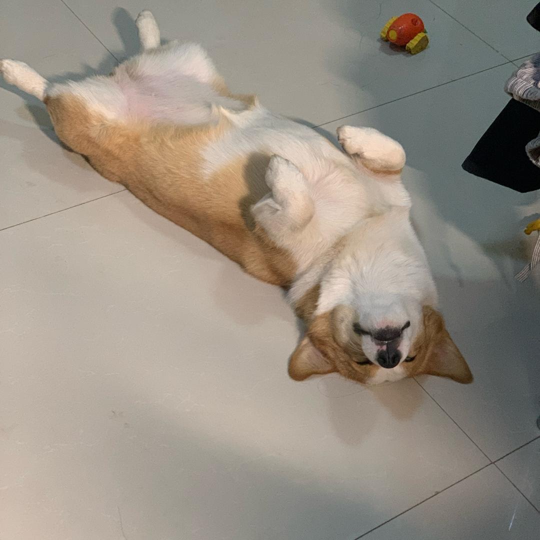 北北好物小铺