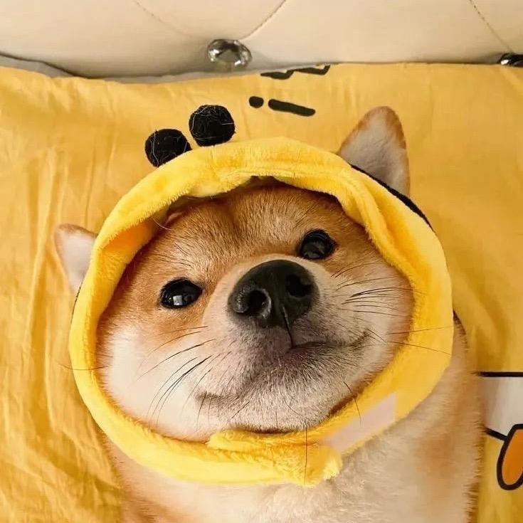 不懒