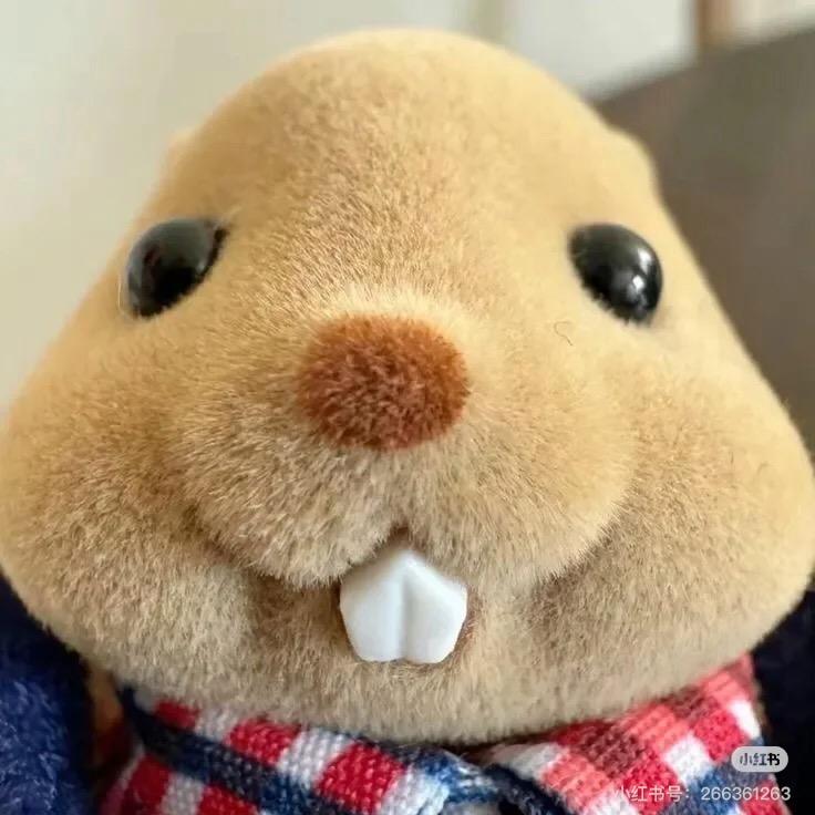 兔兔的大板牙