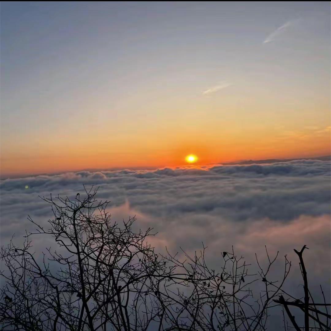 水陆空