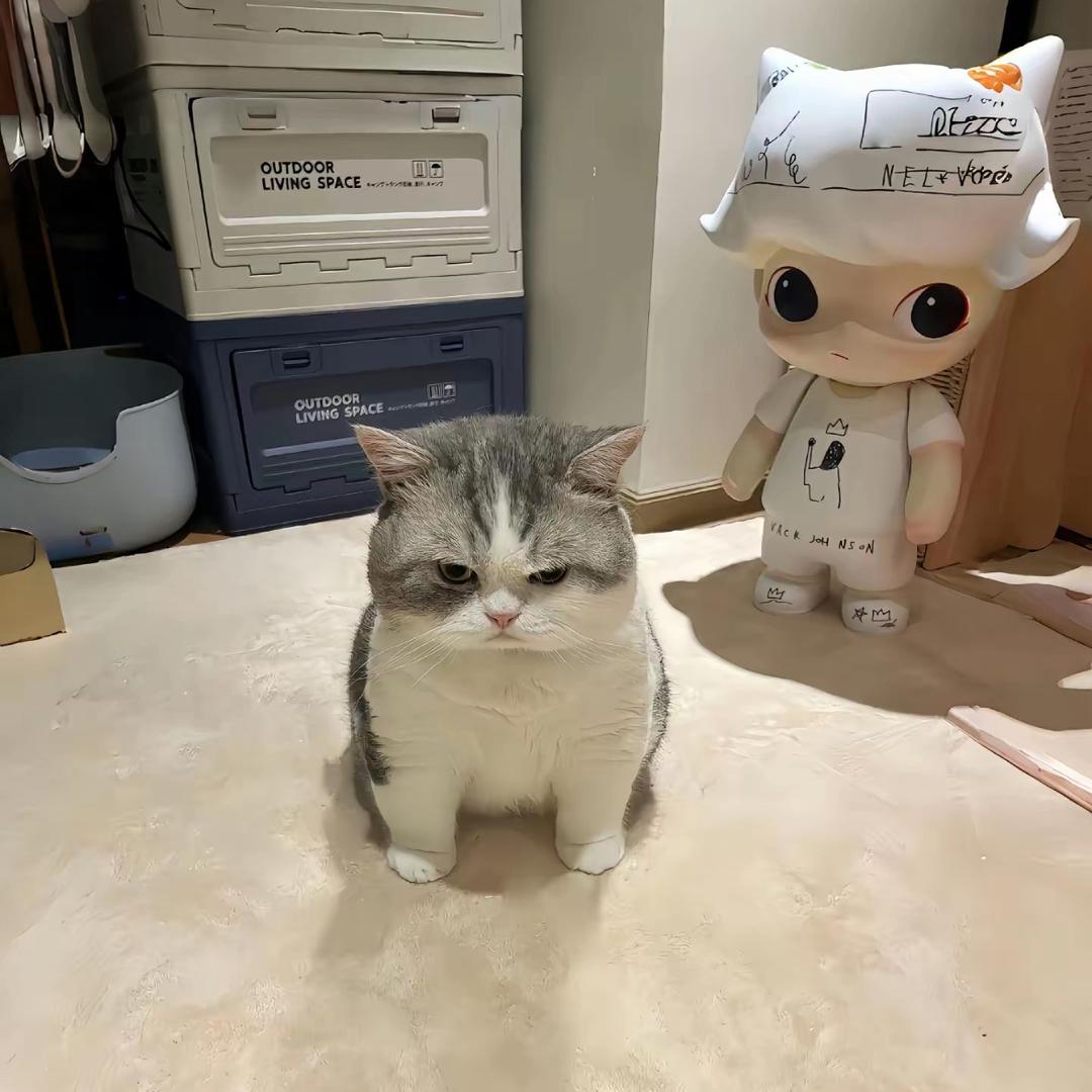 柒