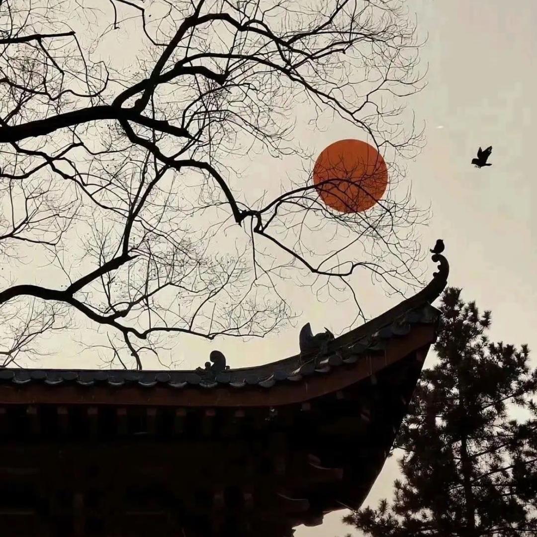 尤 咏词.