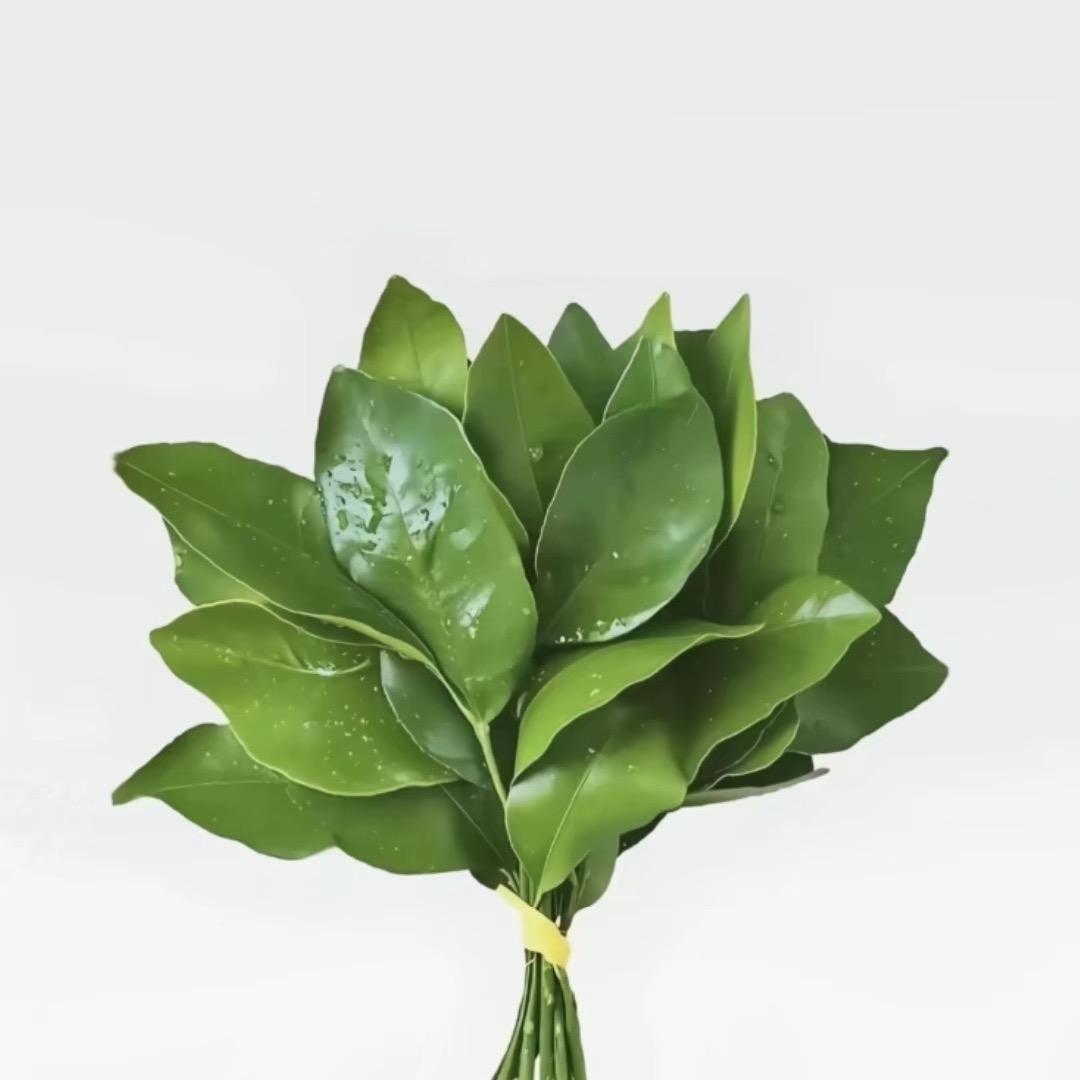 🇨🇳雪园🇨🇳🌈🌈🌈🌈🌈