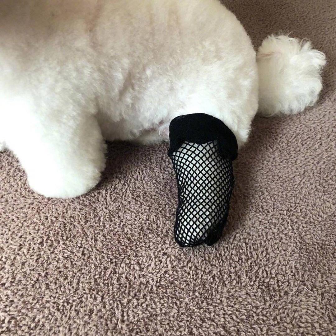 嗡嗡嗡