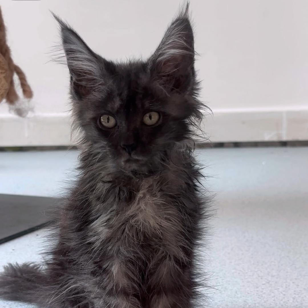 爱漂亮的进宝宝