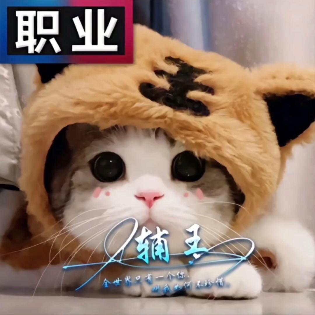 舞伶i
