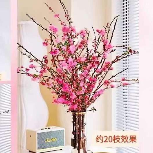 琳思晴港达专卖店