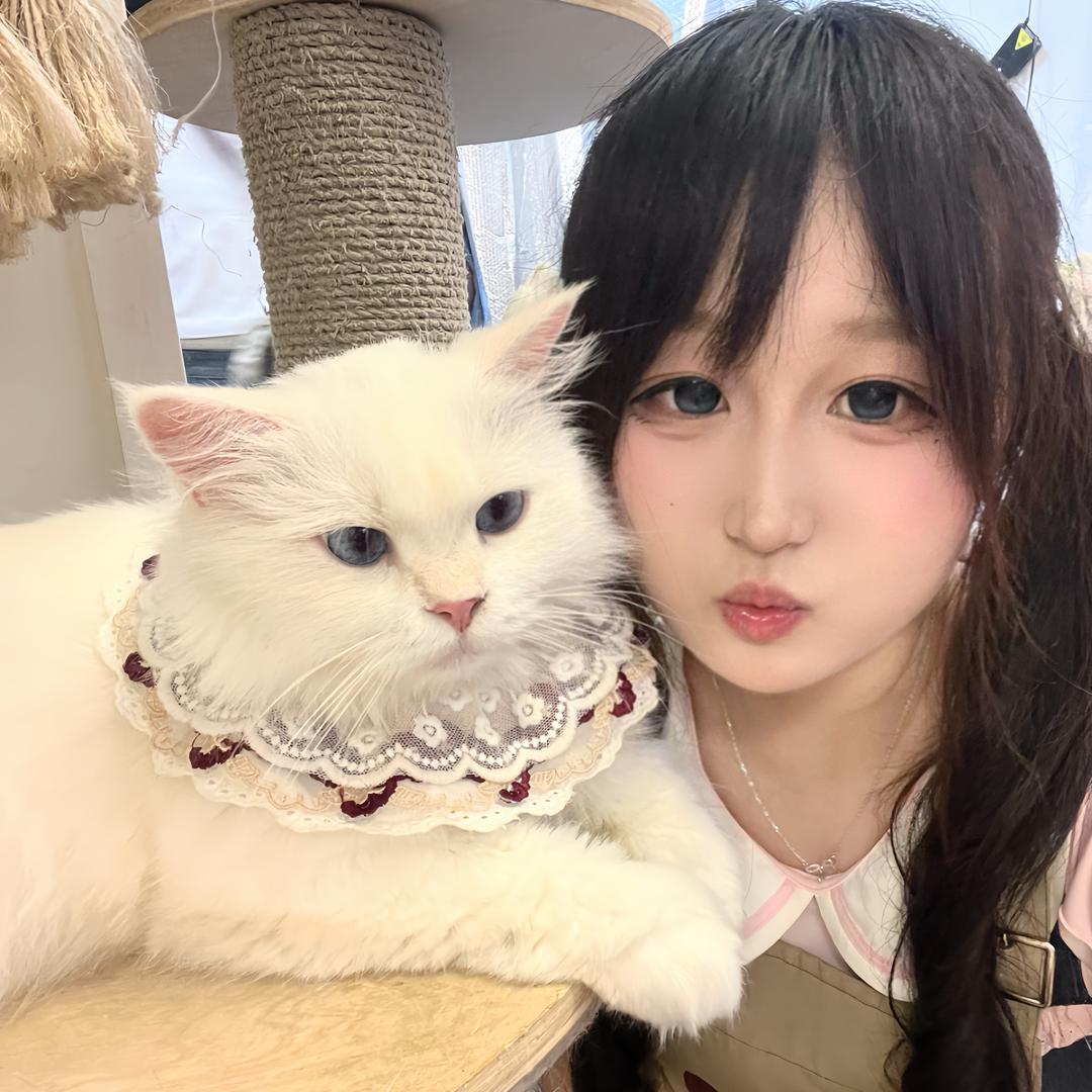 邪恶呆咪