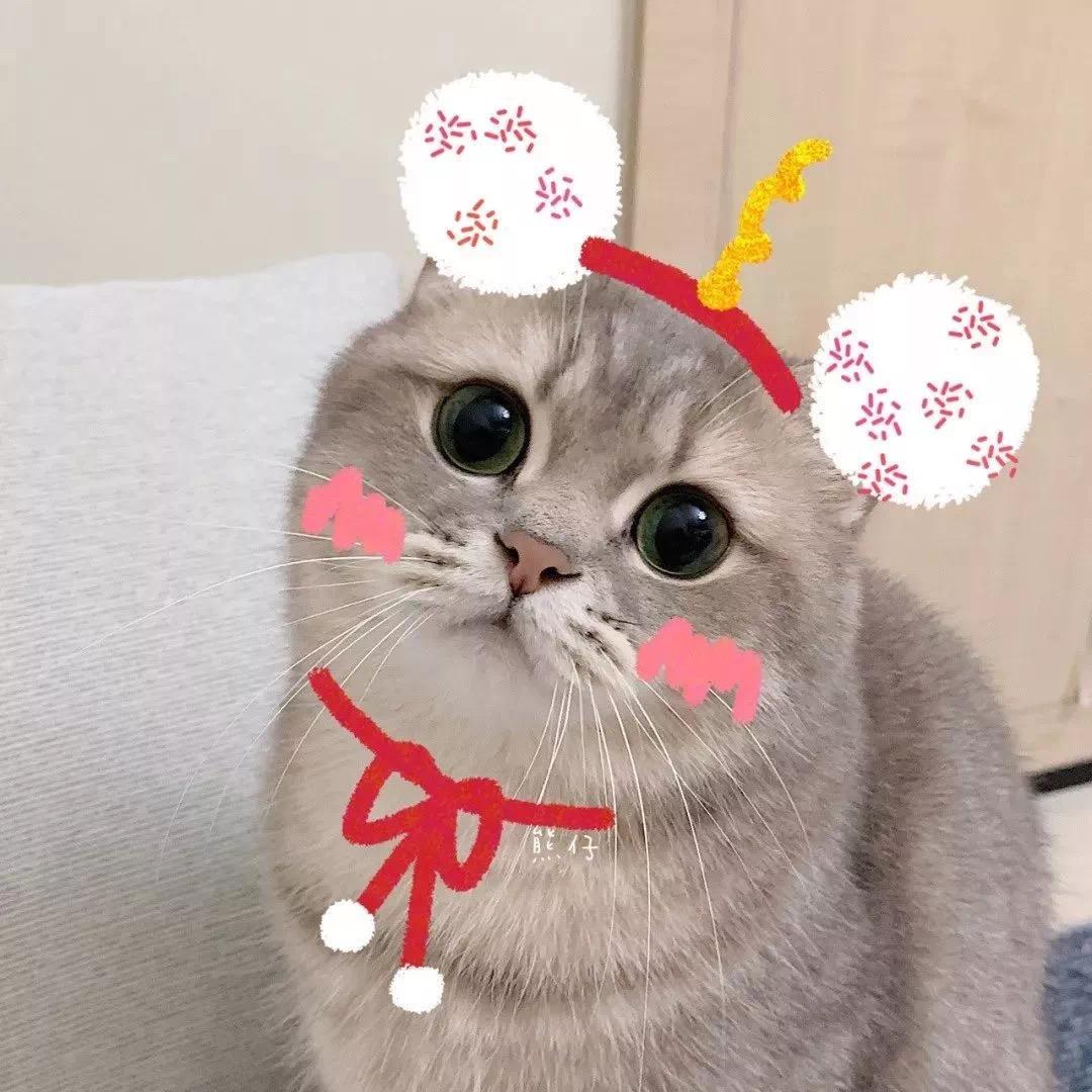 阿月呀！