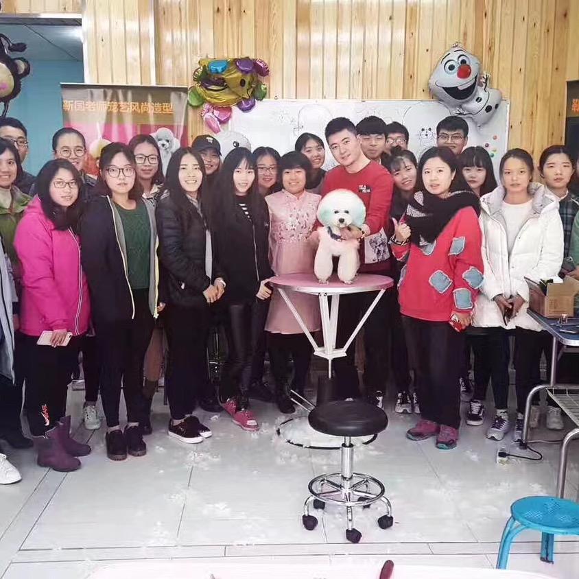 T老师教宠物美容