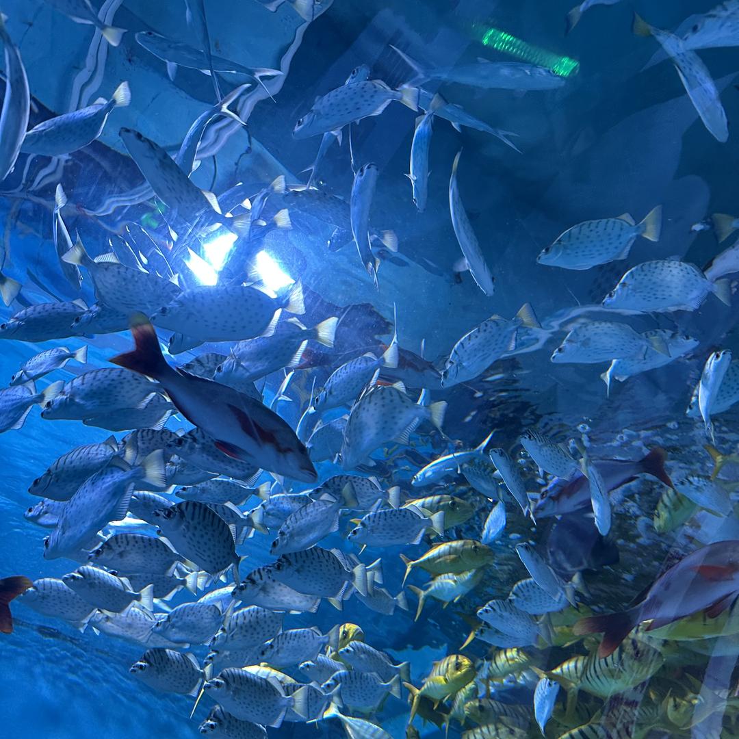 XIMAX太古轻奢户外合集1