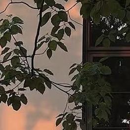芳华