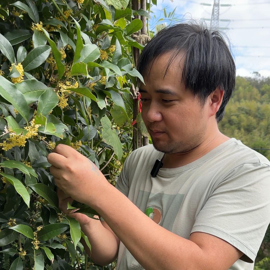 农村小涛哥