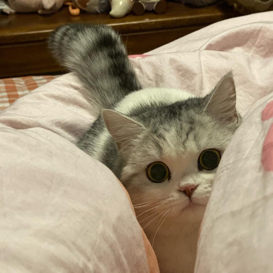 美美子