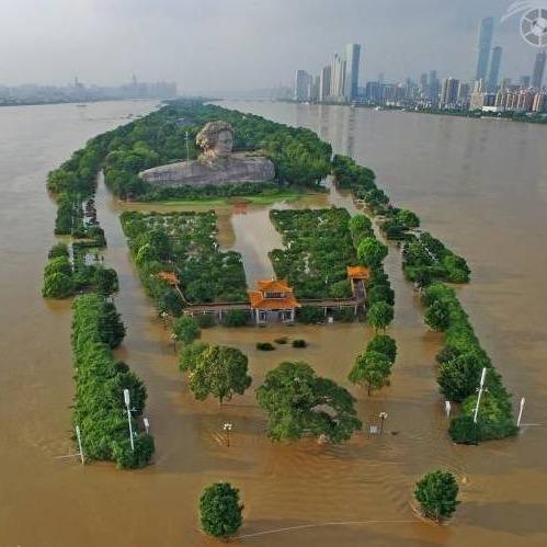 平凡之路--震荡前行