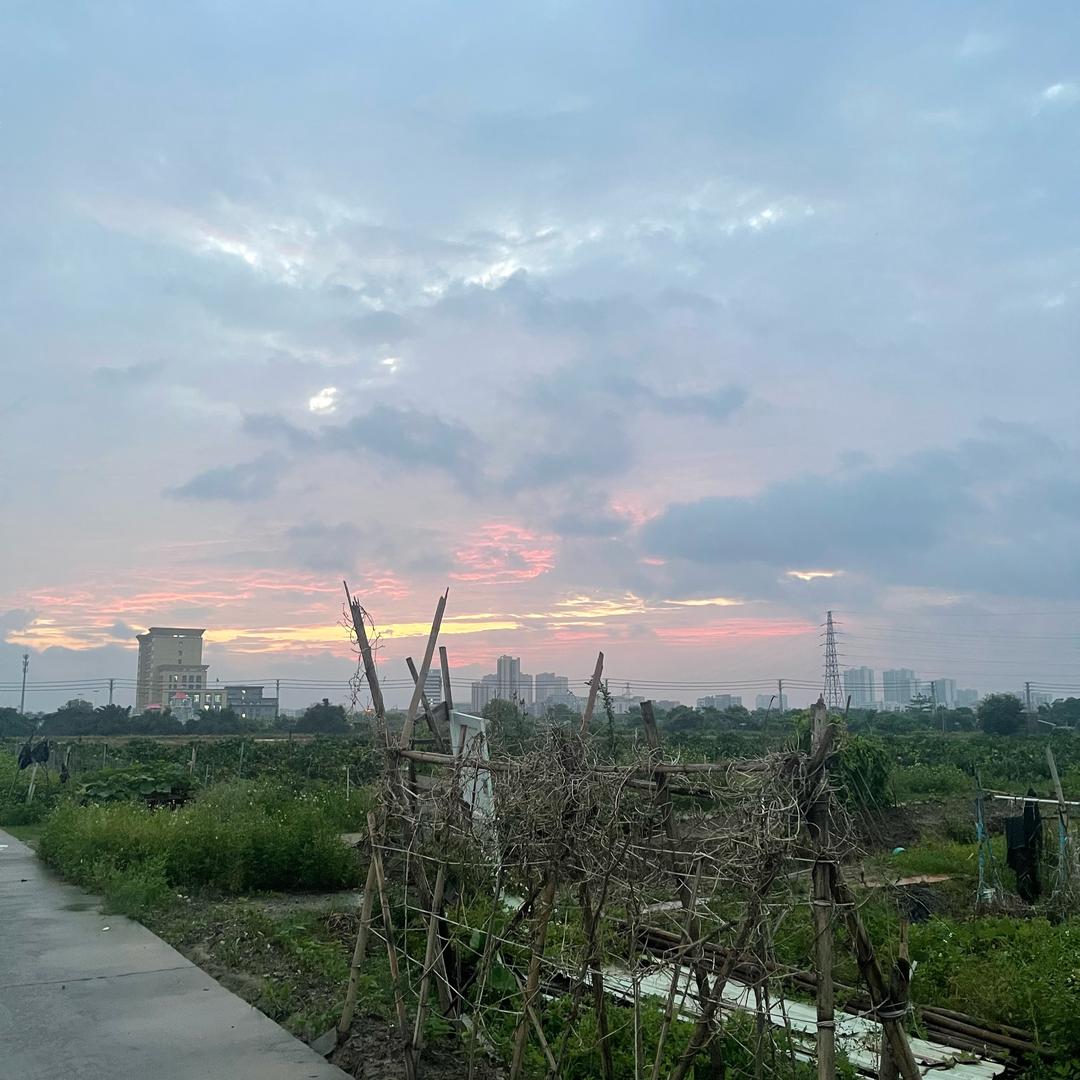 为什么好困：