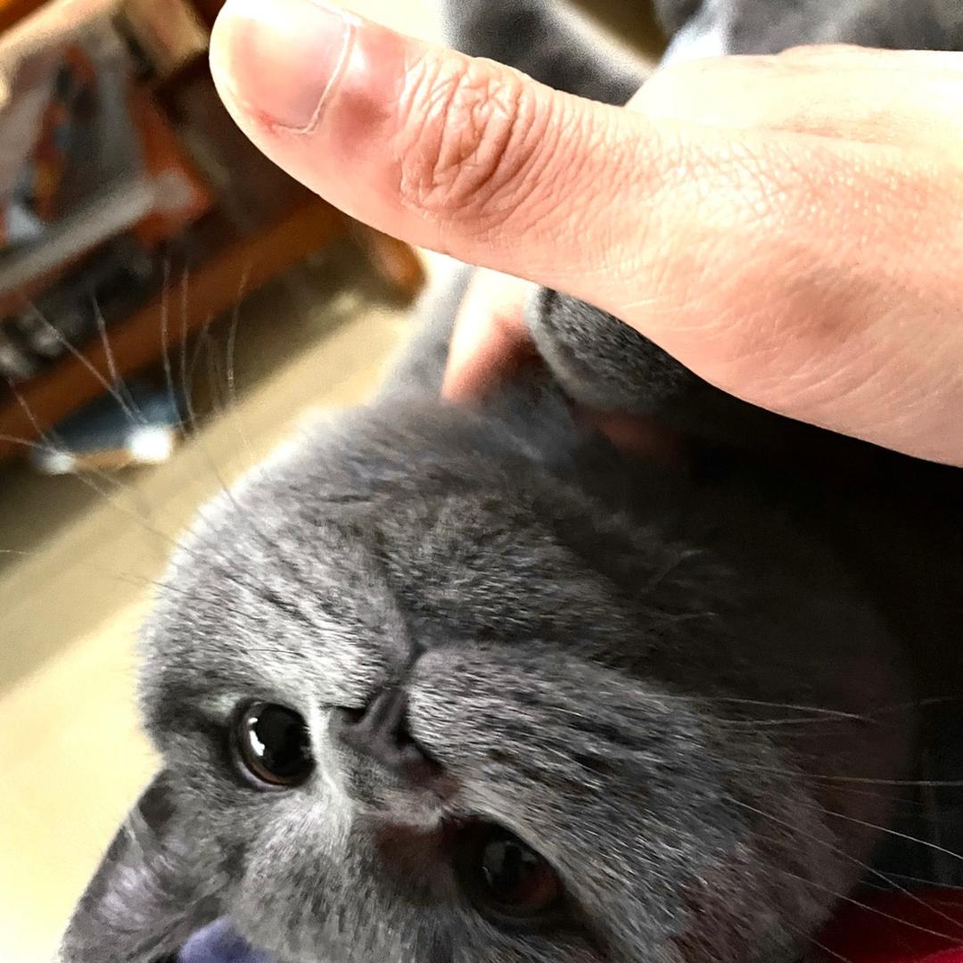 折耳根爷爷