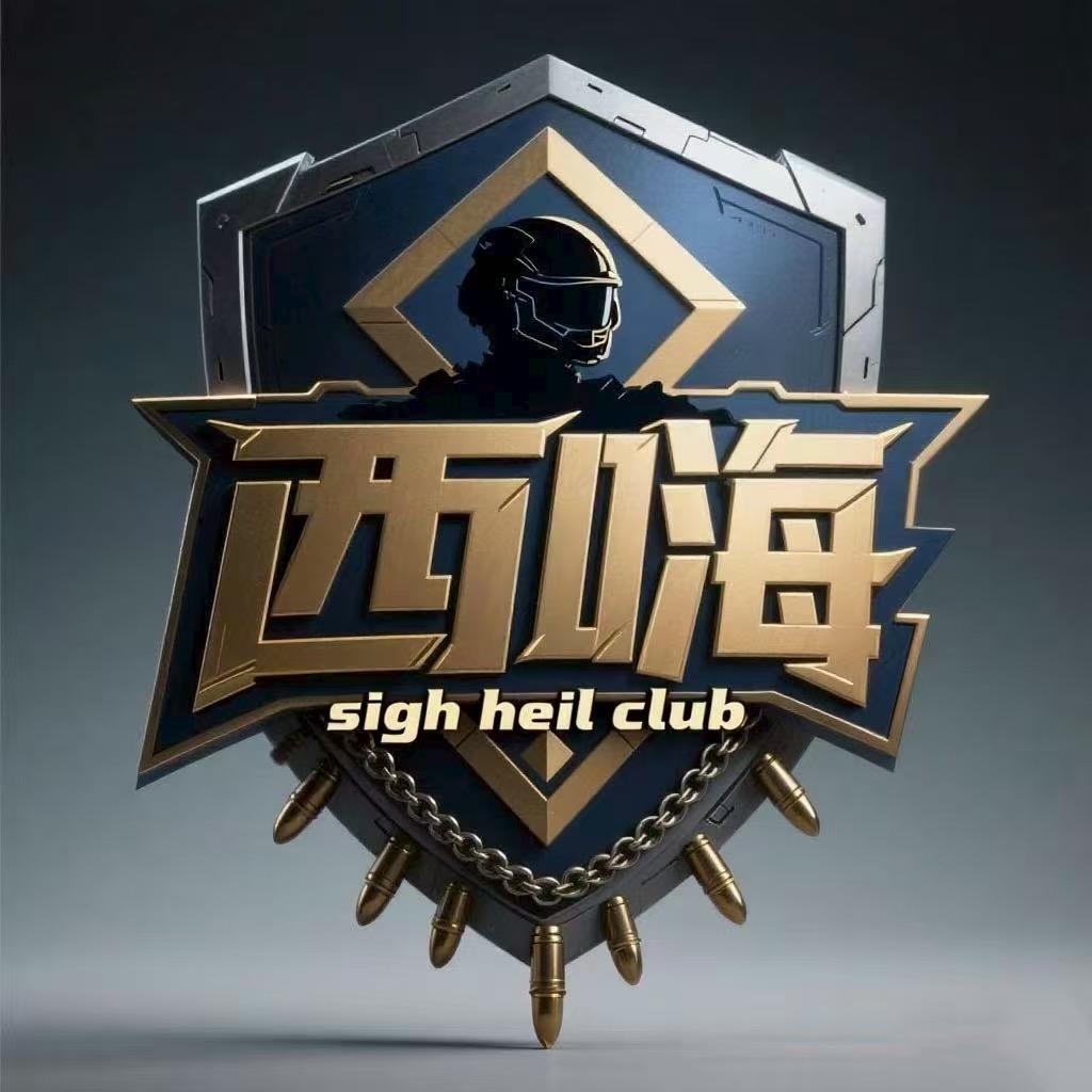 西嗨电竞俱乐部（暗区突围pc）