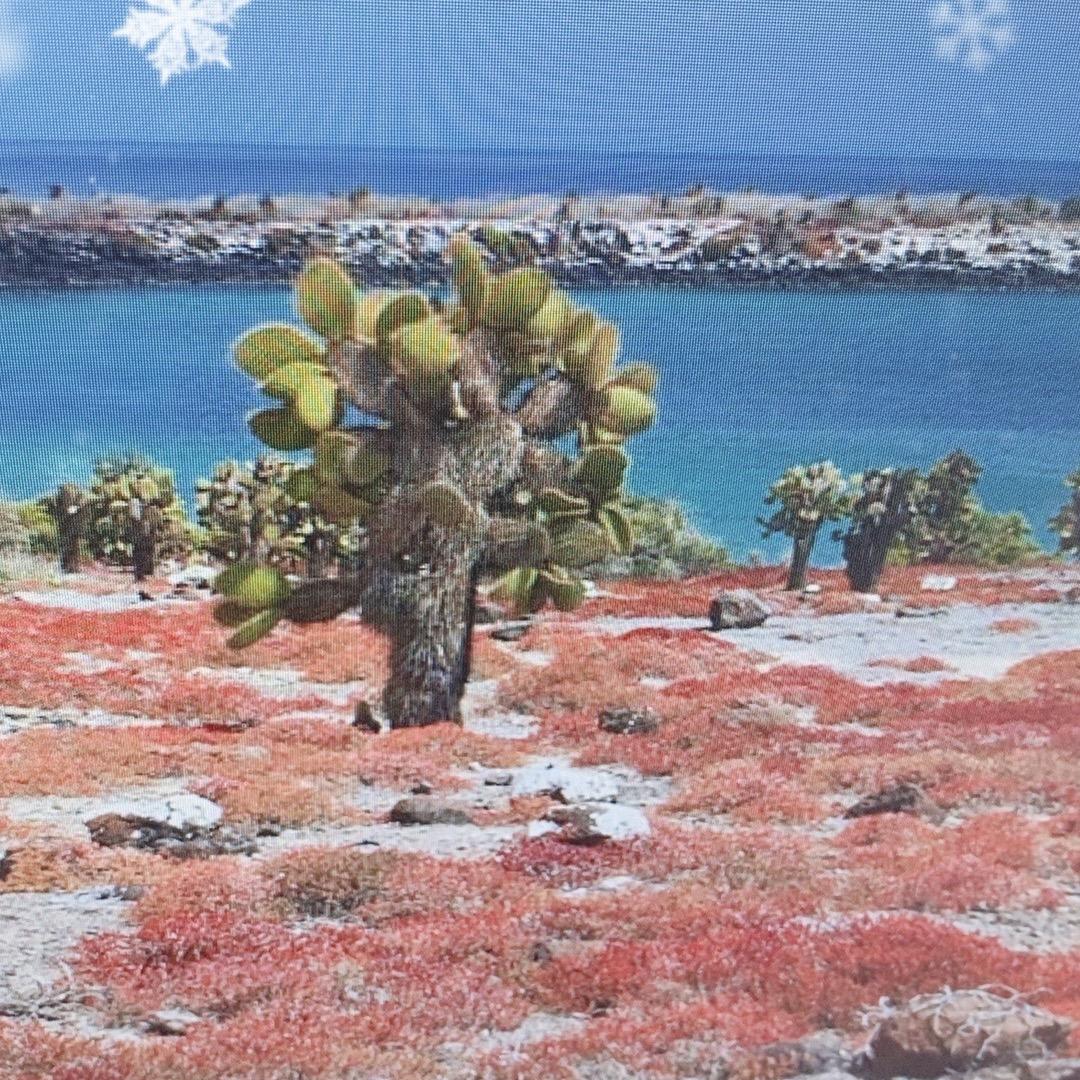 棍子看球.李沐雄