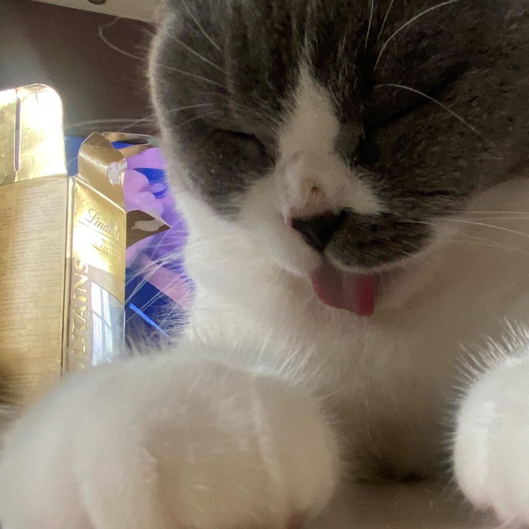 我素舟舟大王（to签每周六补）