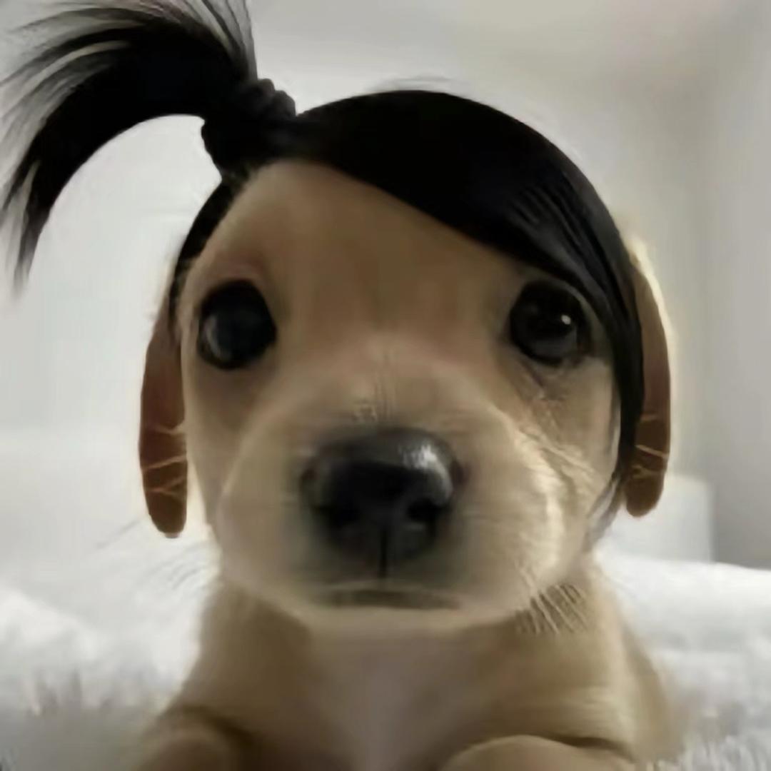 小吴没出息.