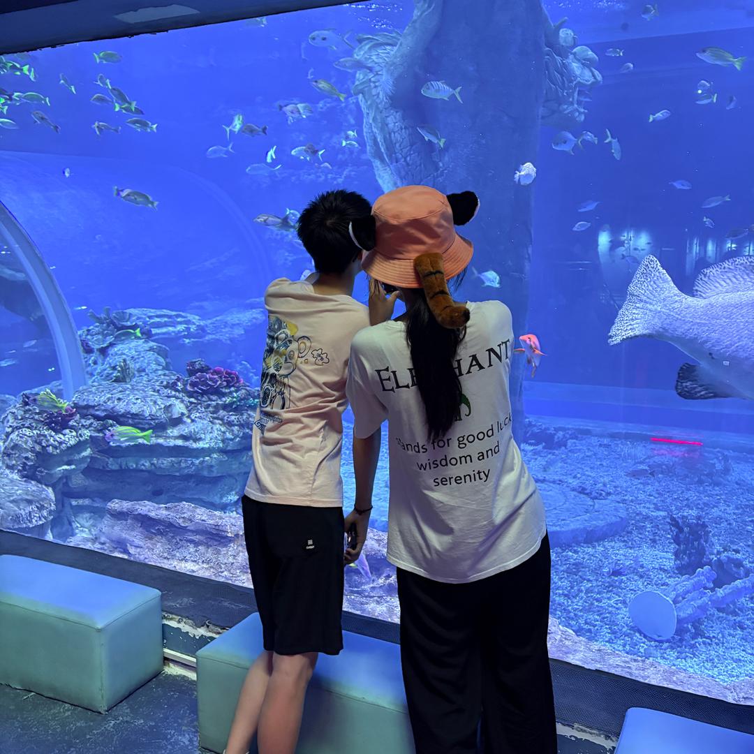 西峡县乐8小镇亲子乐园