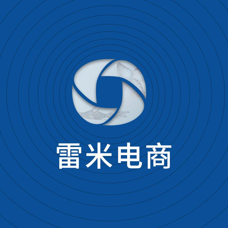 雷米电商