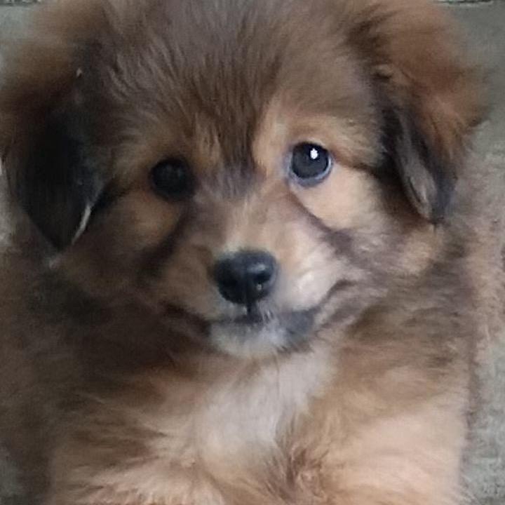 为你我受冷风吹