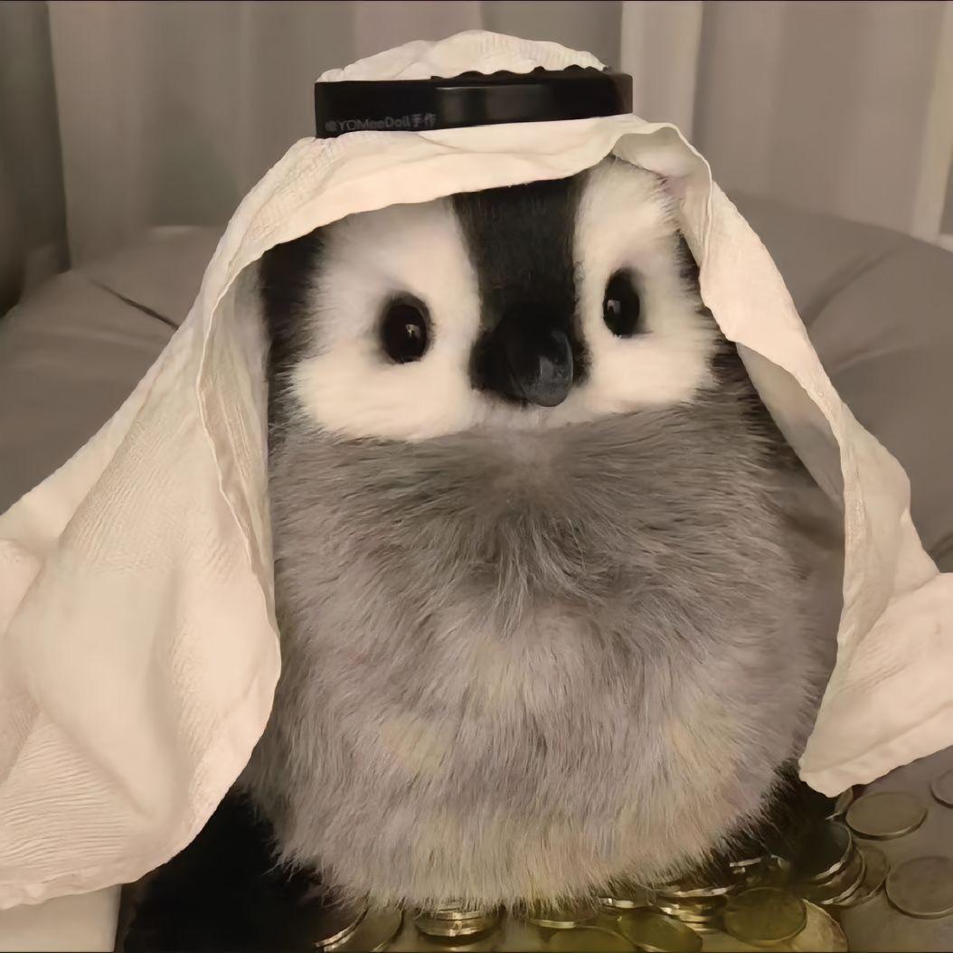 七七