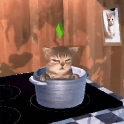 小猫威胁老头去偷老太太棉裤