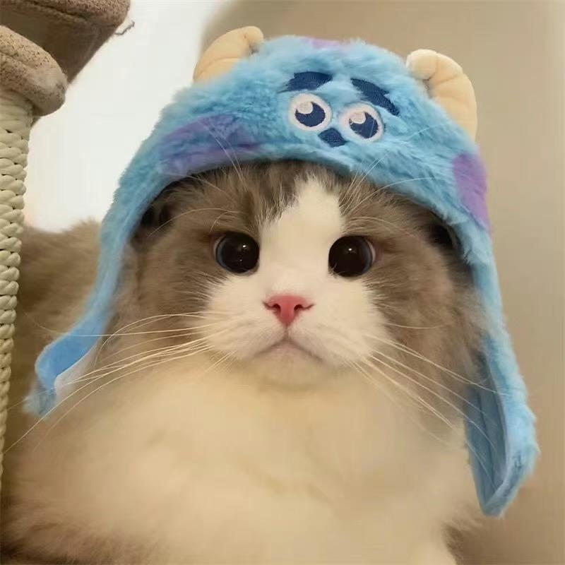 又系你啊