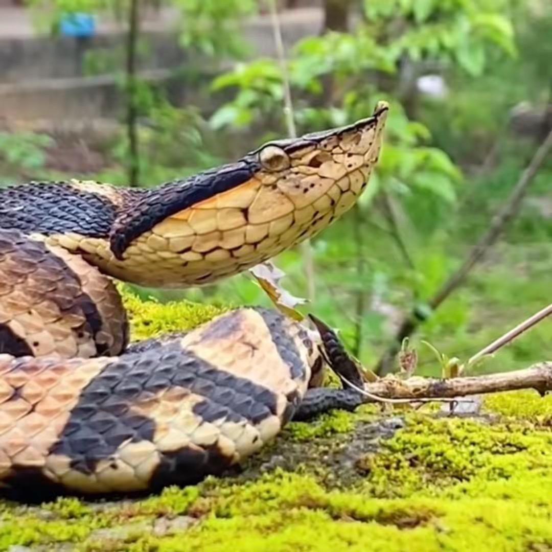 户外爱好者（赚大钱摸大扎）
