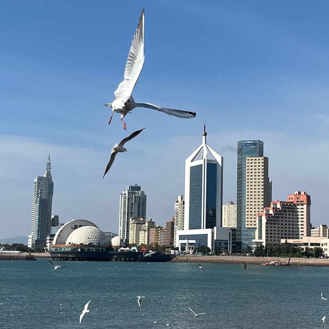 青岛育源教招陶老师