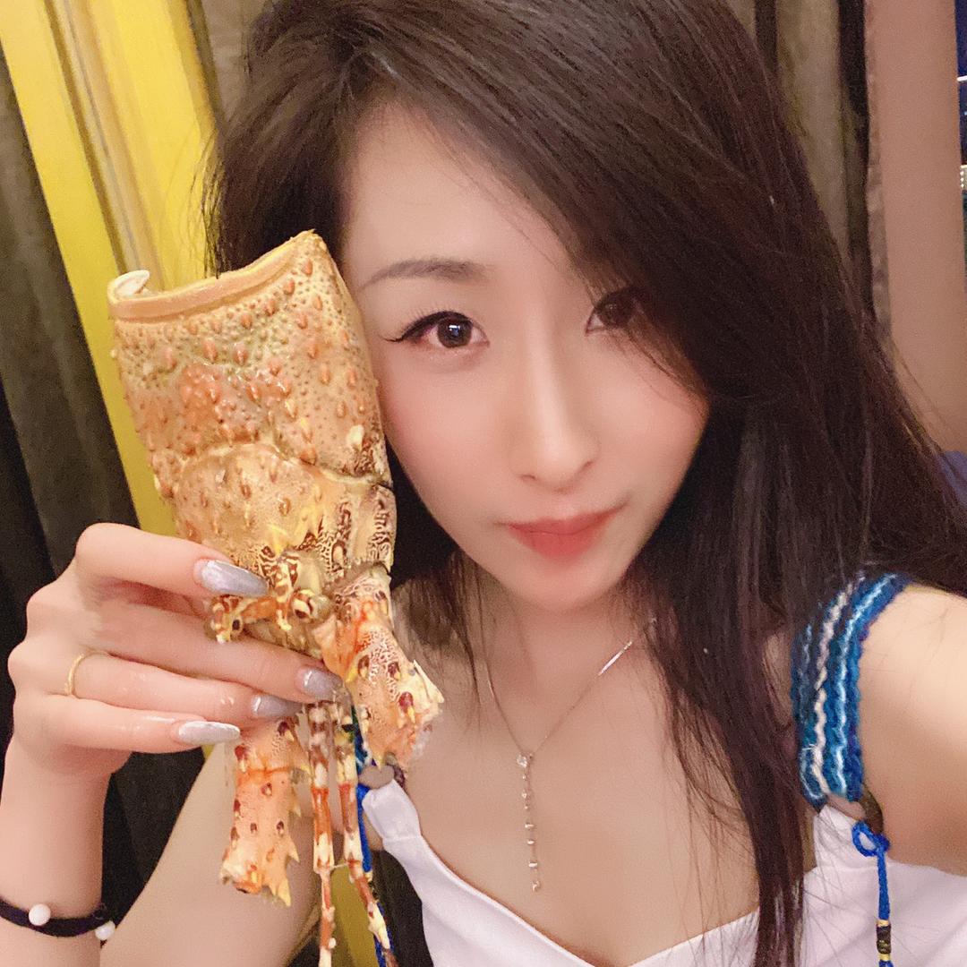 钢城小夜猫