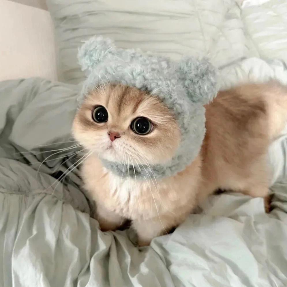 我不是函我是涵