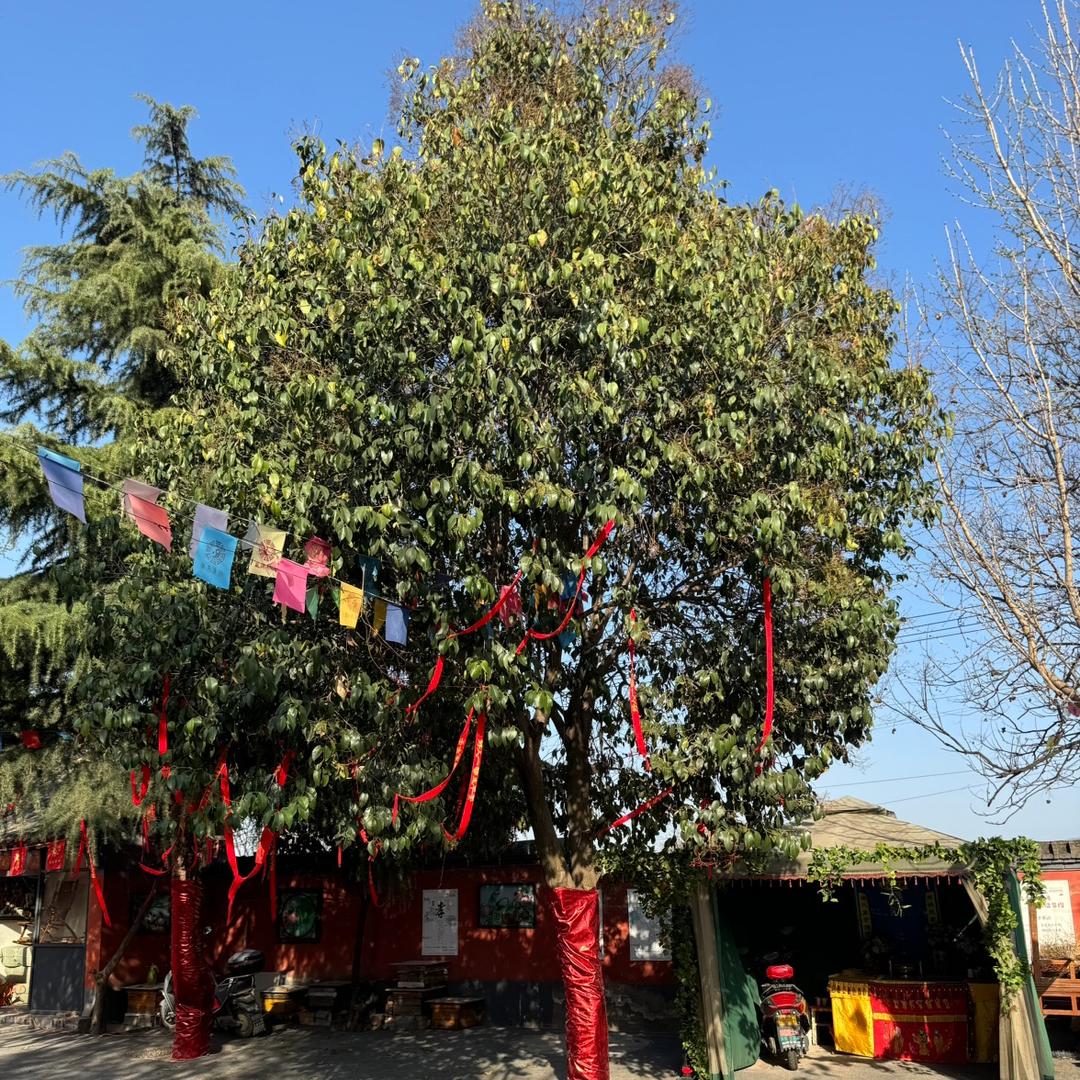 说相贰图文