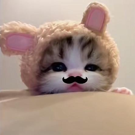 公主👑