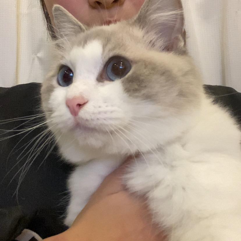 孤独的根号三*
