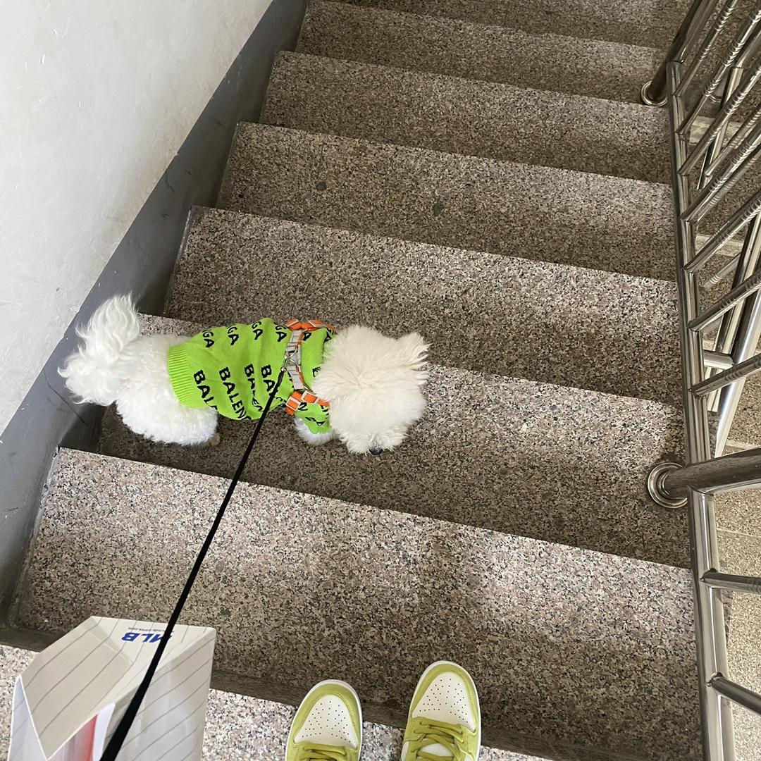 kiki
