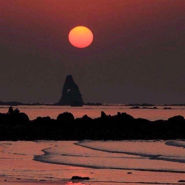 朝花惜拾