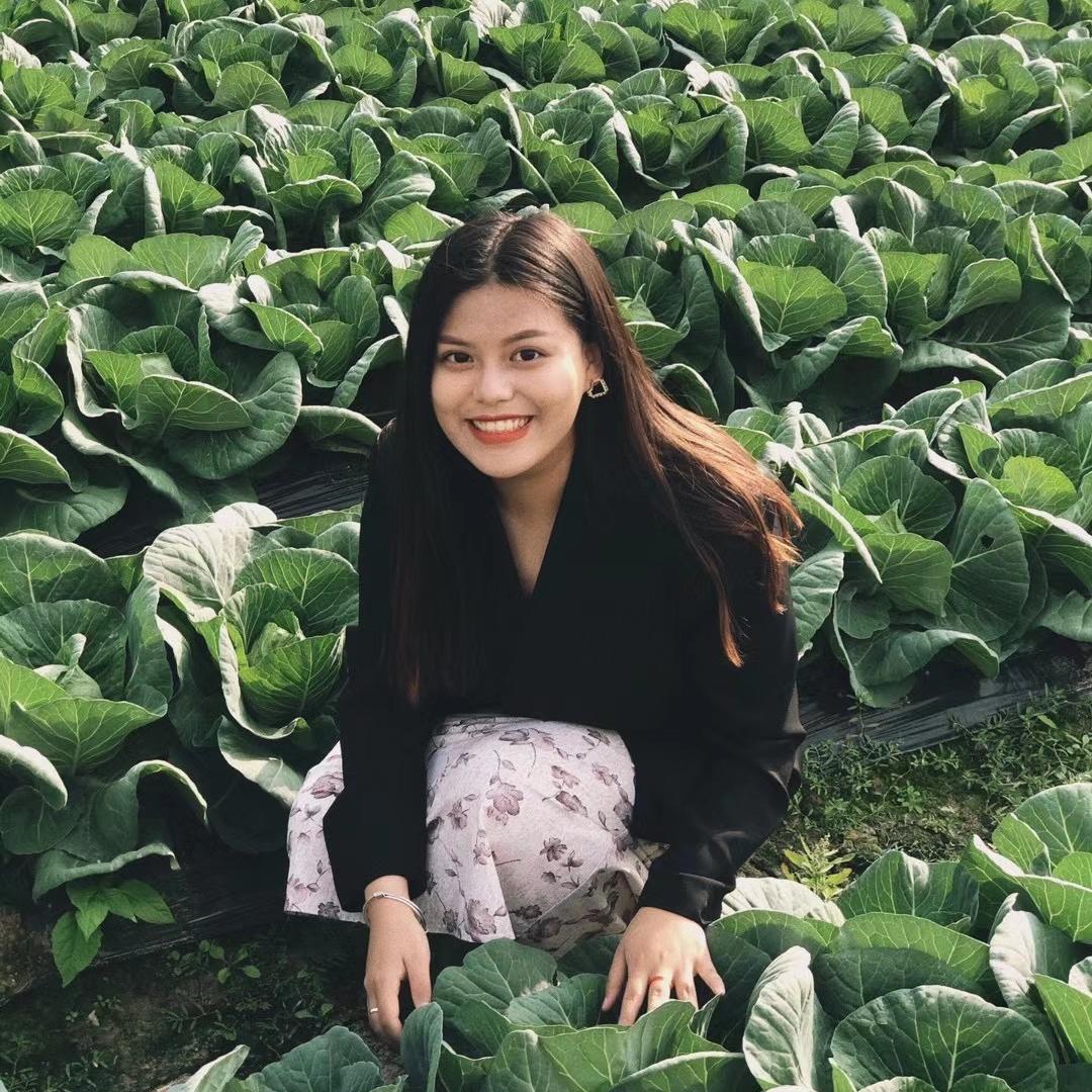 圆满滋补茶业