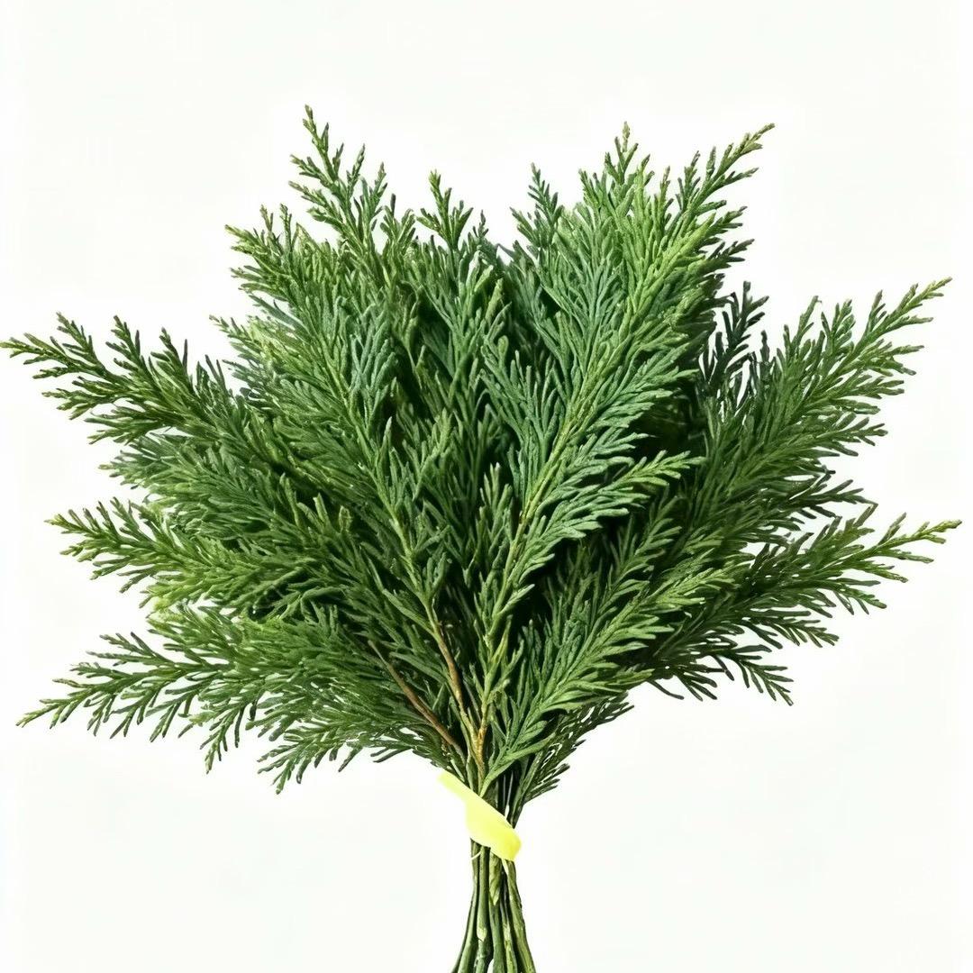 帅到你我很抱歉