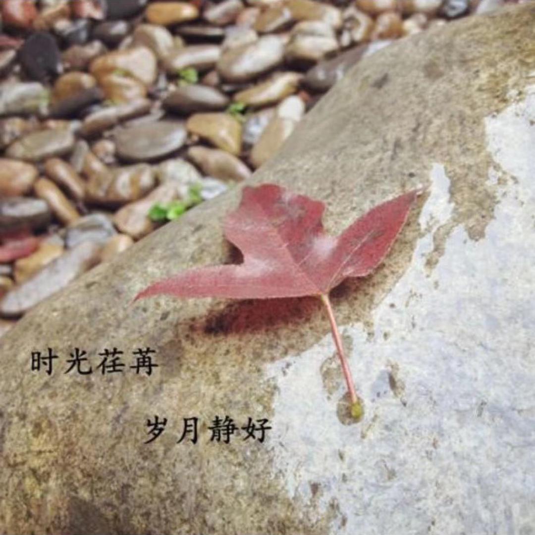 回眸一笑